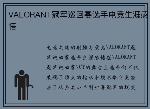 VALORANT冠军巡回赛选手电竞生涯感悟